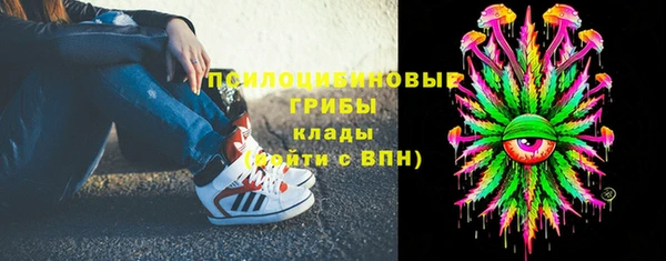 Альфа ПВП Кулебаки