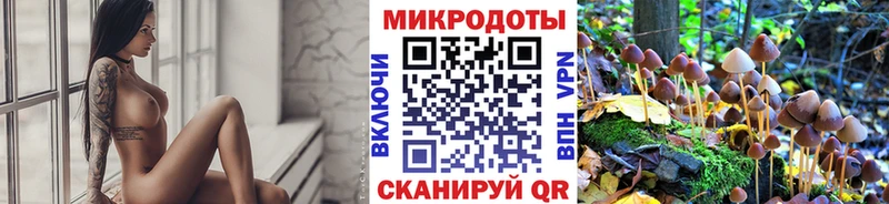 Галлюциногенные грибы мухоморы  магазин продажи   Куса 